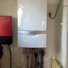 Vaillant2